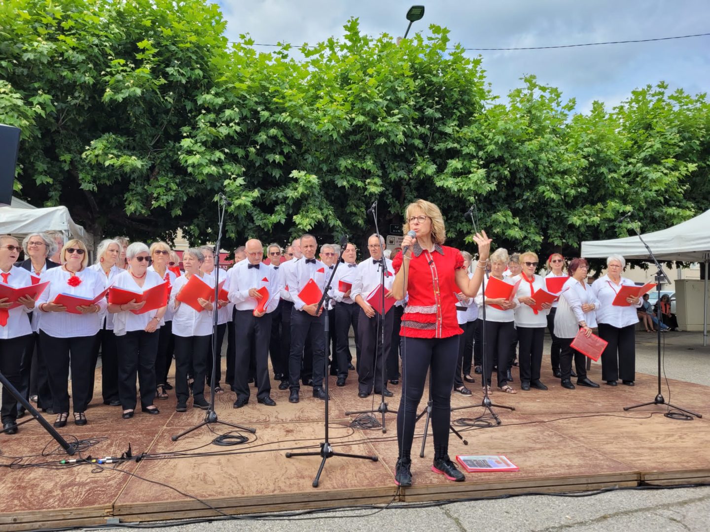 Fête de la musique à Estrablin