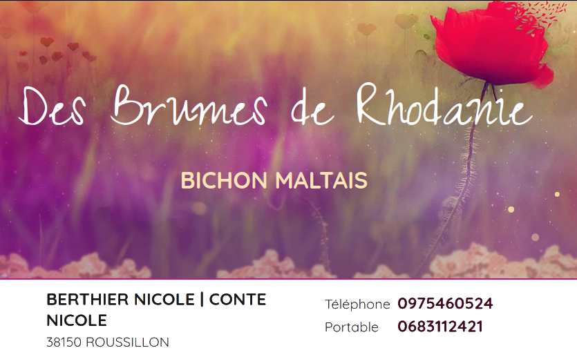 Capture d’écran du 2026-02-02 11-45-08